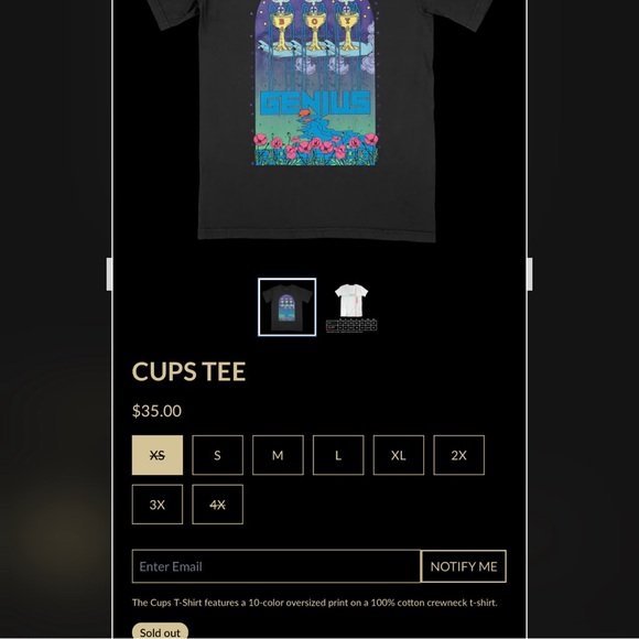 boygenius Cups Short Sleeve T-Shirt in XS unisex sizing GUC - Picture 5 of 6